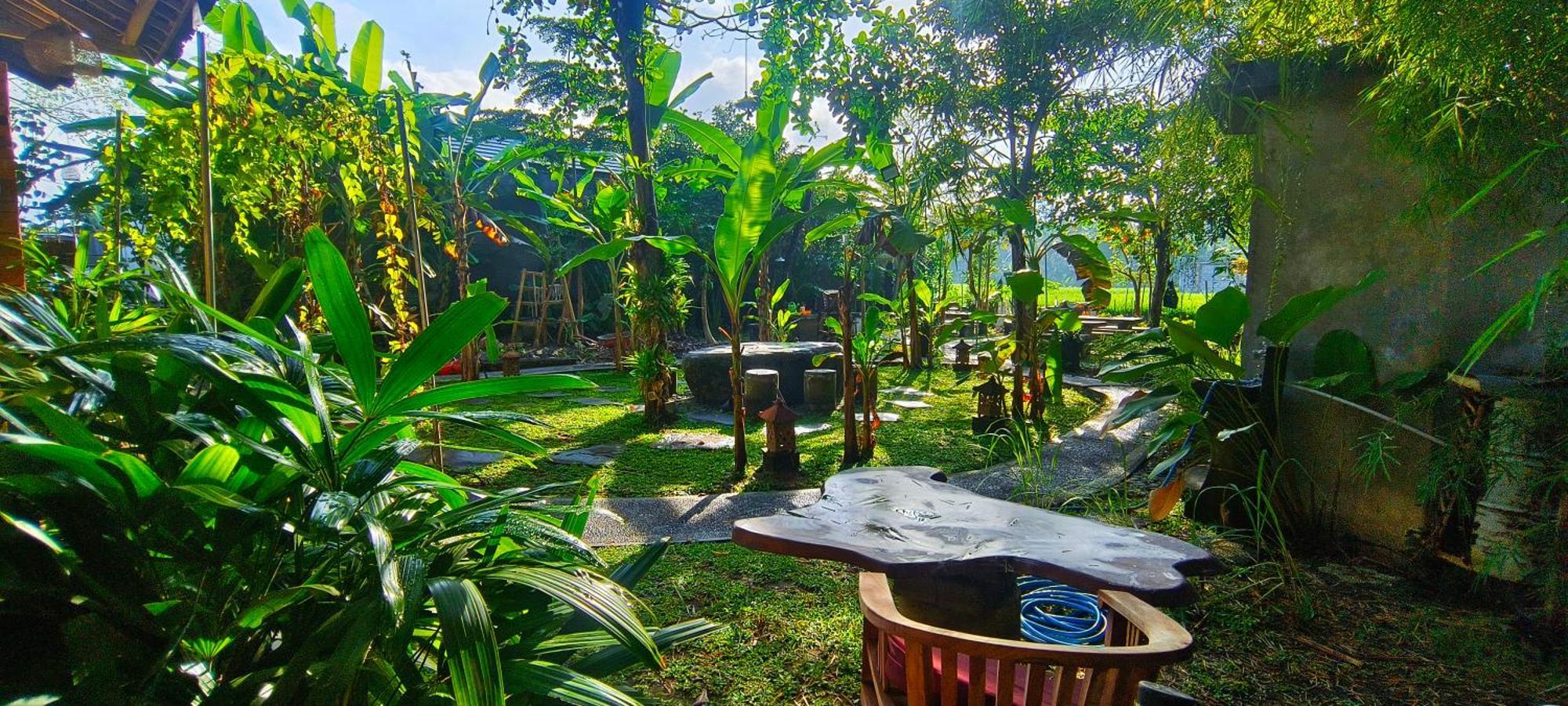 Damuh Guest House Ubud  Exterior photo